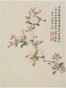 Krabappelbloesem uit een bloemenalbum van tien bladeren, 1656
